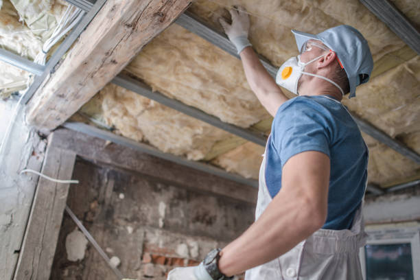 Best Insulation Repair Services  in Mauston, WI