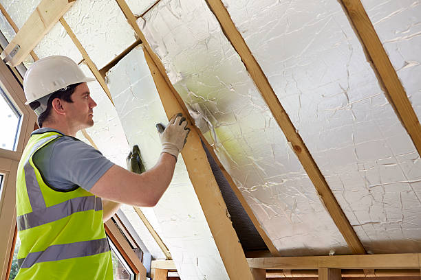 Best Local Insulation Services  in Mauston, WI