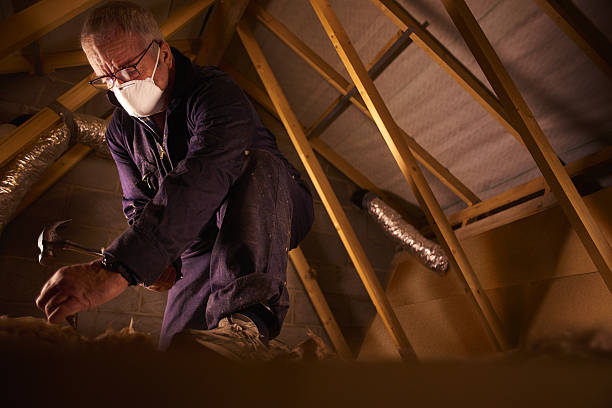 Best Local Insulation Services  in Mauston, WI